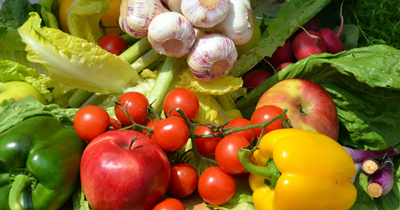 acheter des graines de fleurs potagères polonaises en vrac